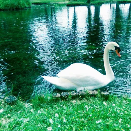 Locazione Turistica Lbs, , Spoleto Сasa de vacaciones San Giacomo (Umbria)
